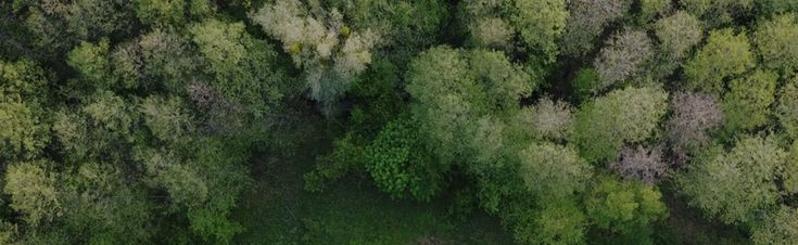 6 Benefits of Choosing Sustainable Furniture- Read Now for the future - SofaLuz Studio®