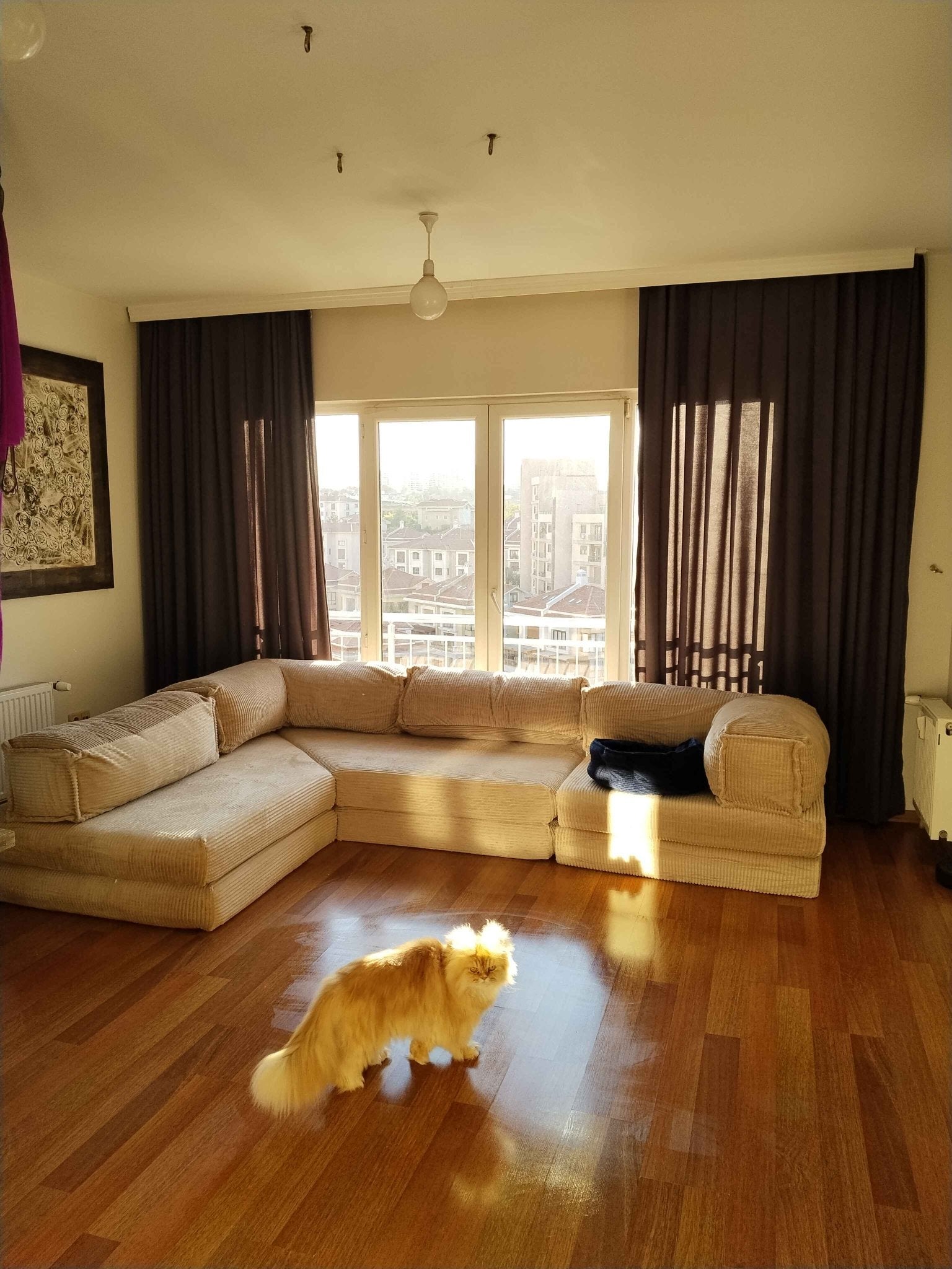 7 Reasons to Choose a Modular Sofa for Your Home - Sofa Luz