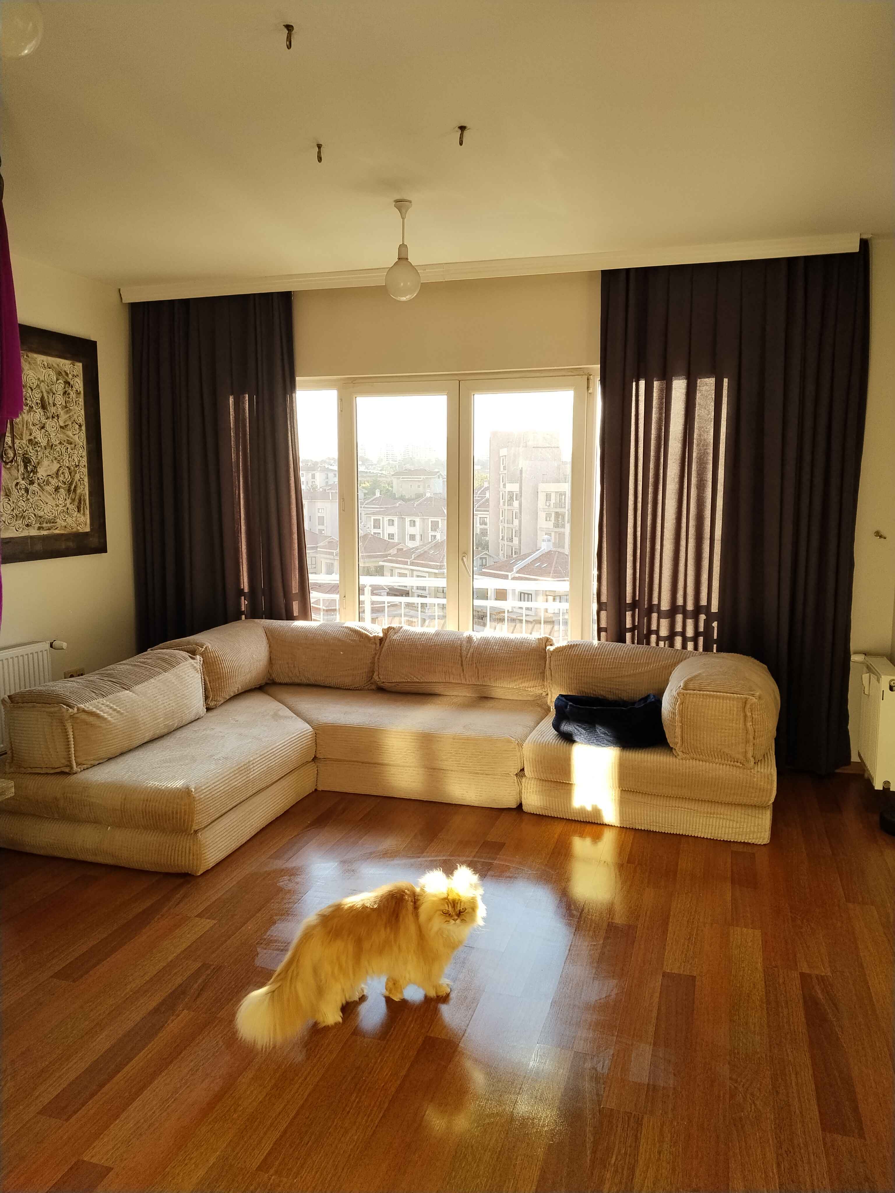 7 Reasons to Choose a Modular Sofa for Your Home