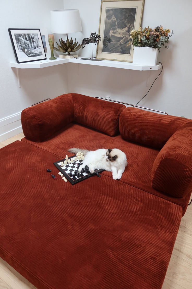 What Makes a Sofa Pet Friendly in 2026? The Details Most Buyers Miss - SofaLuz Studio®